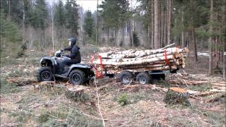 ATV TIMBER TRAILER