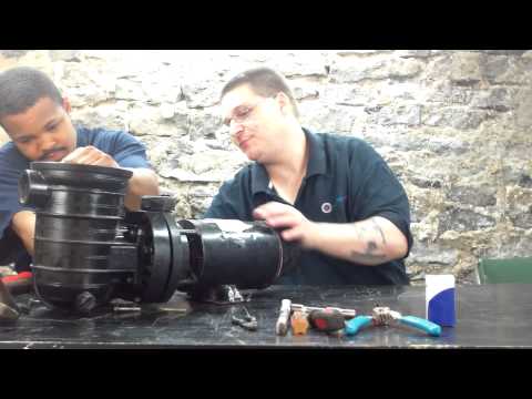 how-to-unspin-a-pool-pump-impeller