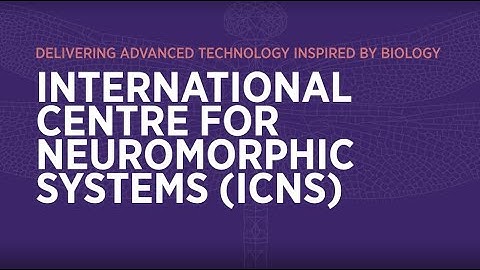International Students studying Neuromorphic Engineering at Western Sydney University