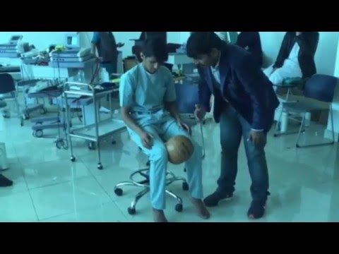 Therapeutic Exercises Lab