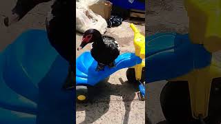 20 De Novembro De 2022