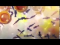 AMV cliff edge white sweet love