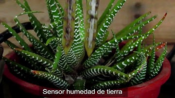 SISTEMA DE RIEGO AUTÓNOMO - ARDUINO UNO