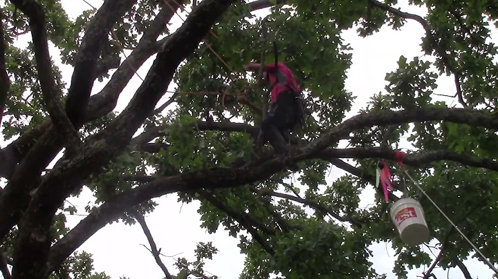 Natural State 2021 -  Modified Work Climb - James ...