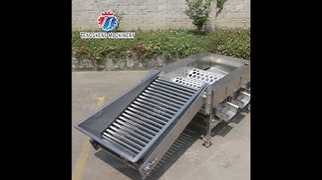 Fruit sorting machine