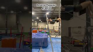 Reverse flyaways #gymnastics #shorts #fyp #newskill #bars