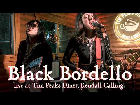 Black Bordello Live at Tim Peaks, Kendal Calling