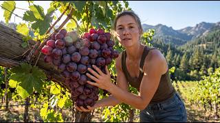 Experts Said Heart-Shaped Grapes Would Fail in the Barren Highlands — Then Came Harvest Day