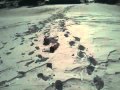 過酷な雪山登山