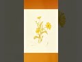 Calendula — The Healing Flower