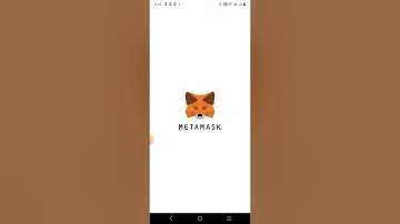 WooCommerce MetaMask Wallet Ethereum Chain Payment Gateway