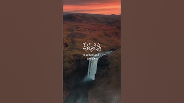 وما تدري نفس بأي أرض تموت سورة لقمان آية 34 #quran #قرآن #تلاوة_خاشعة #palestine