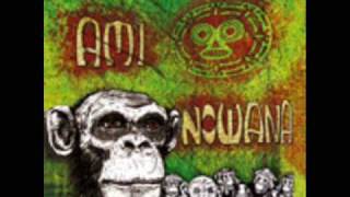Brigada Bong - Aminowana
