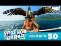 Улетное видео | Выпуск 50