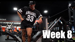 Download Lagu Body Building Journey | Week 8 Calorie Bump! MP3