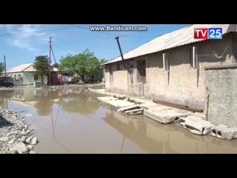 შანიძის 1-ლი ჩიხი