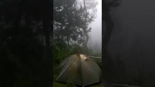 Solo Camping Heavy Rain