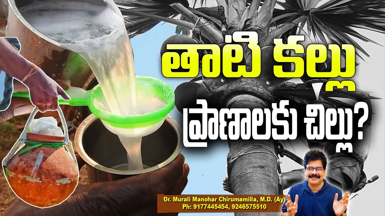 తాటి కల్లు తాగితే మంచిదేనా?| Is it Good to Drink Kallu! Dr. Murali Manohar 