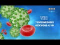 7 enfermedades asociadas al VIH