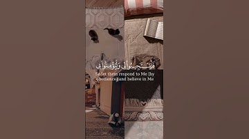 لا حول ولا قوه الا بالله العلي العظيم ♥ #quran #اكسبلور #لايك #القرآن_الكريم #تلاوة_خاشعة