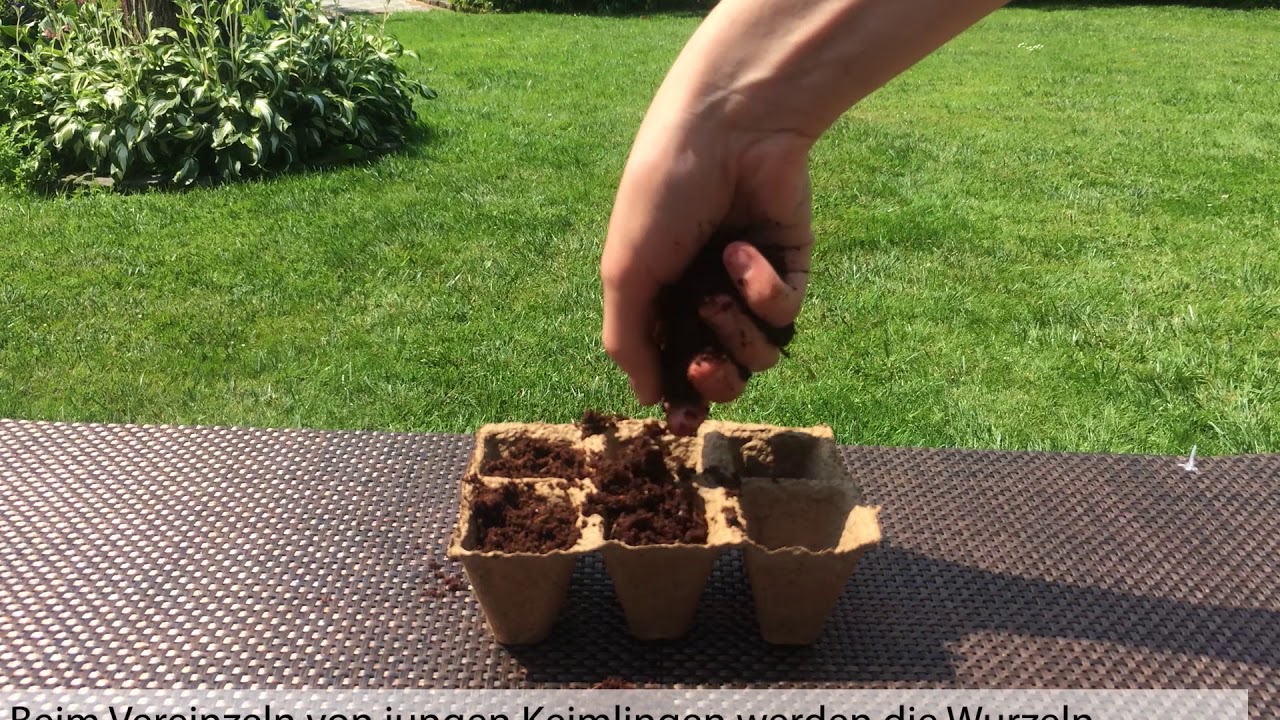 bambus garderobe Garderobe 