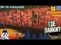 БЕГ ПО ЛОКАЦИЯМ | РУССКАЯ РЫБАЛКА 4 | В ПОИСКАХ КАРТОЧЕК | RF4 | ФАРМ СЕРЕБРА + ВЫЛОВ ТРОФЕЕВ