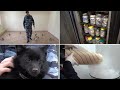 В Волгограде собаки-парфюмеры выявляют преступников по уникальной методике