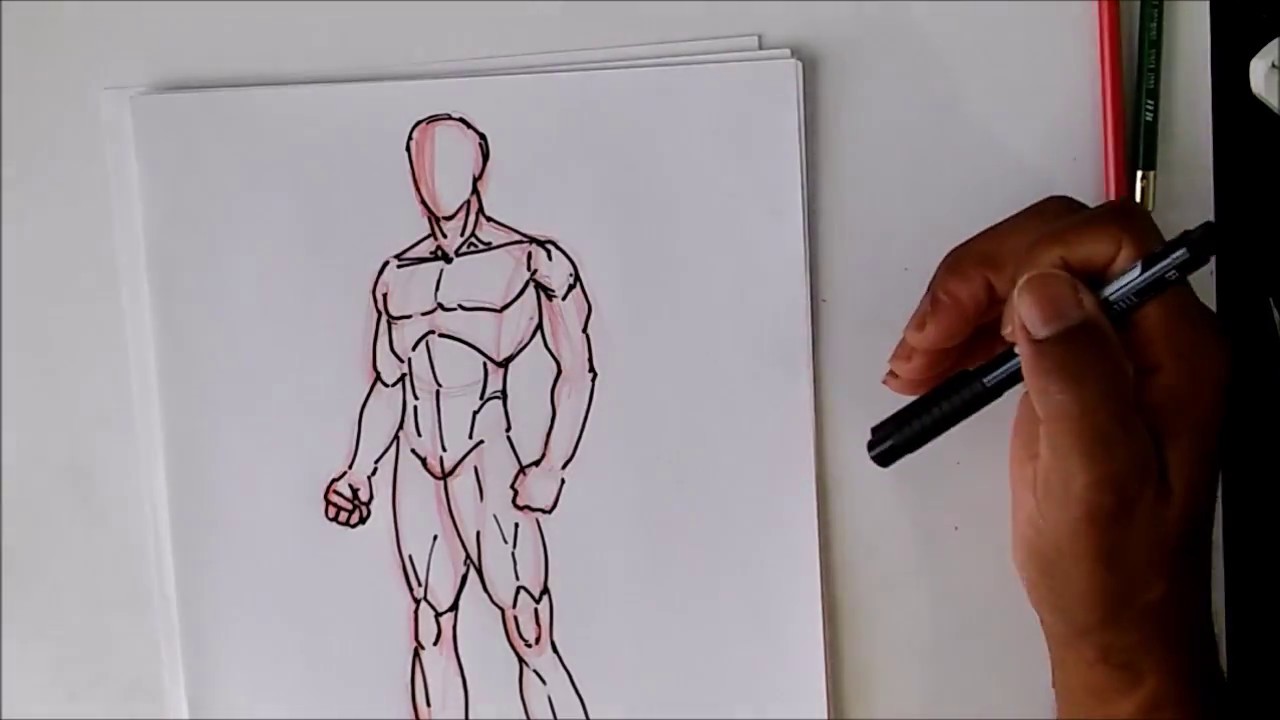 Male Drawing Poses  Learn to Sketch Male Anatomy Poses