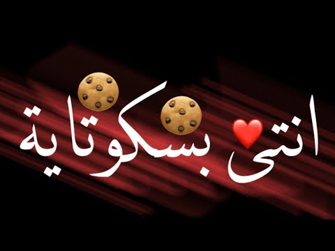 حالات واتس مهرجان انتى بسكوتاية مقرمشة يا بنتى ده انتى قطة مخربشة حالات واتس حسن شاكوش وحماده مجدي