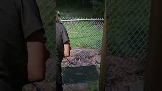 Baby Skunk Chasing Us #skunks #wildlife #nature #funny
