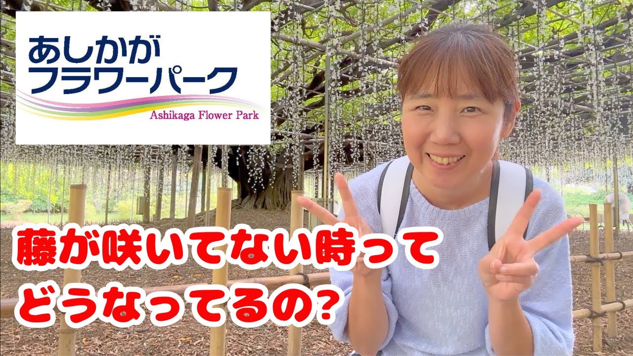 9月なのにあしかがフラワーパークに行ってみた