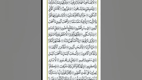 سورة الواقعة تلاوة ياسر الفيلكاوي