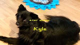Do as I Do VIDEO CONTEST 2023, Kyle Do you want to be a Concierge?, Category: Funny
