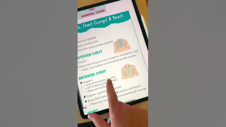 Head to Toe Assessment Guide #shorts #nursingschool #nclex #nursingnotes