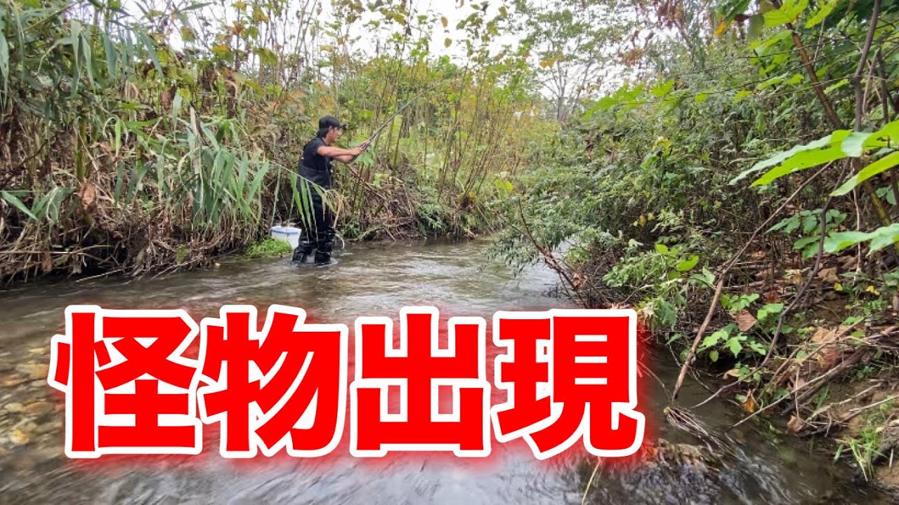田舎の水路にはとんでもない怪物が潜んでいた