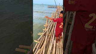 Lihat anak kecil mancing di laut #macingmania #mancingikan #ikanlaut #mancingikanlaut
