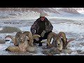 Горная охота. Таджикистан. Marco Polo Argali. Mountain hunting. Tajikistan.( Из архива)