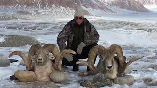 Горная охота. Таджикистан. Marco Polo Argali. Mountain hunting. Tajikistan.( Из архива)