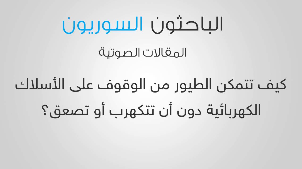 كيف تتمكّن الطيور من الوقوف على الأسلاك الكهربائية دون أن تتكهرب أو تُصعق؟