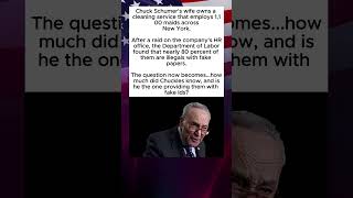 Celebrity Chuck Schumer’s Wife’s Cleaning Company Under Fire Profile