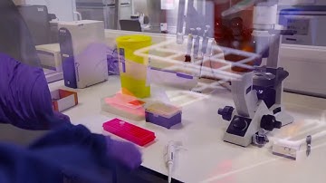 Counting cells using a hemocytometer - video protocol