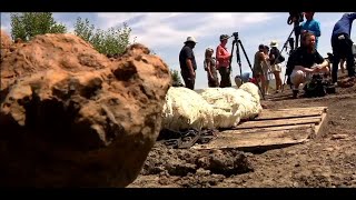 Dinosaur bones discovered in Maryland 'bone bed'