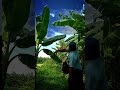 #pejuangkeluarga #komedihiburan