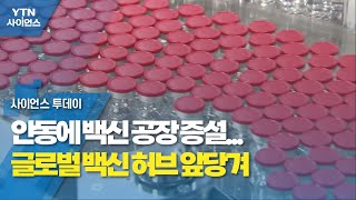 안동에 백신 공장 증설...글로벌 백신 허브 앞당겨 / YTN 사이언스