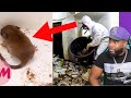 Top 10 Most Disgusting things found in Hoarding Buried Alive | REACTION