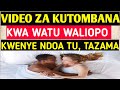 VIDEO ZA KUTOMBANA KWA WANANDOA TU TAZAMA HAPA