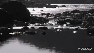 Cahit Sıtkı Tarancı - Desem Ki