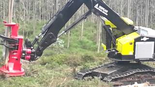 Feller Buncher Timberpro TL725B
