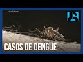 Casos de dengue crescem mais de 150% no Brasil em 2022