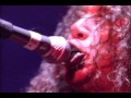 Slayer  06  captor of sin  1995  live